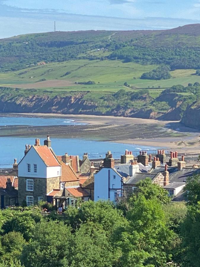 Birtley House Bed And Breakfast Robin Hood's Bay Extérieur photo